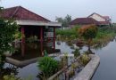 Hujan Deras Tiga Desa di Kecamatan Tanggulangin Sidoarjo Kembali Dilanda Banjir