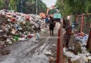DLHK Sidoarjo Bersihkan Gunungan Sampah di Terminal Bungurasih