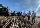Sinergi Gula Nusantara Siap Memulai Giling Tebu Petani 2024