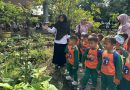 <span style='color:#ff0000;font-size:12px;'>Pendidikan </span><br> Peringati Hari Bumi, Siswa KB-TK Al Muslim Sidoarjo Belajar Cintai Lingkungan Lewat Outing Class dan Kerja Bakti
