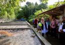 <span style='color:#ff0000;font-size:12px;'>Berita Banyuwangi </span><br> Pemuda Desa di Banyuwangi Raup Omset Ratusan Juta dari Budidaya Lele, Sistemnya Pakai Air Jernih