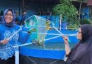 <span style='color:#ff0000;font-size:12px;'>Pendidikan </span><br> Mahasiswa Unesa Budidaya Lele Gunakan Sistem Bioflok, Kenalkan Diversifikasi Pangan ke Masyarakat