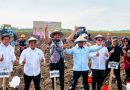 PT SGN Wujudkan Swasembada Gula Nasional melalui Perluasan Areal Tebu di Indonesia Timur