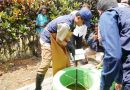 <span style='color:#ff0000;font-size:12px;'>Pendidikan </span><br> Tim Ekspedisi Patriot ITS Olah Limbah Ternak Jadi Sumber Energi Alternatif di Papua Barat