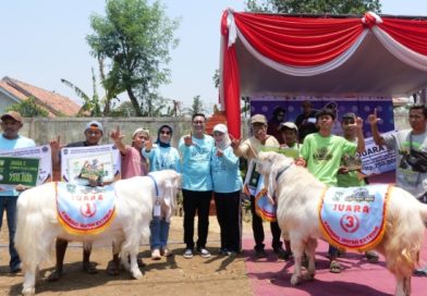 <span style='color:#ff0000;font-size:12px;'>Berita Lumajang </span><br> Kontes dan Pameran Ternak Lumajang jadi Wadah Bibit Unggul dan Penggerak Ekonomi Warga