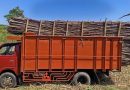 Petani Tebu PG Pradjekan Terapkan Prinsip MBS demi Jaga Kualitas Hasil Panen