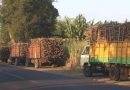PG Ngadiredjo Serap Tebu Petani dan Jaga Produksi Gula Nasional