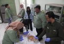 <span style='color:#ff0000;font-size:12px;'>Berita Sidoarjo </span><br> Cegah Rabies, Dinas Pangan dan Pertanian Sidoarjo Gelar Vaksinasi Gratis Hewan Peliharaan