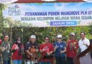 PLN UIT JBM Tanam 16.500 Bibit Mangrove di Bali, Perkuat Komitmen Pelestarian Ekosistem Pesisir
